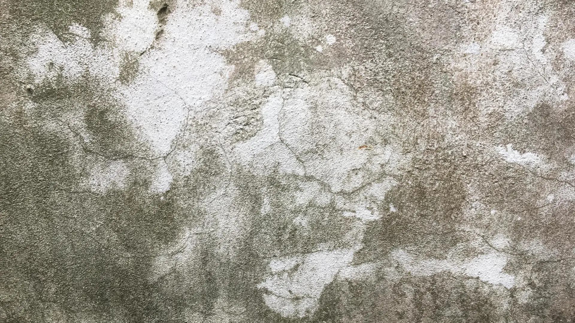 Muro de hormigón desgastado con fisuras